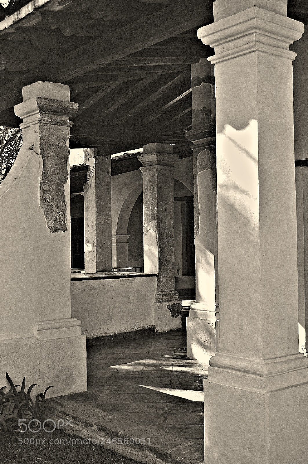 Nikon D3200 sample photo. Untitled photography