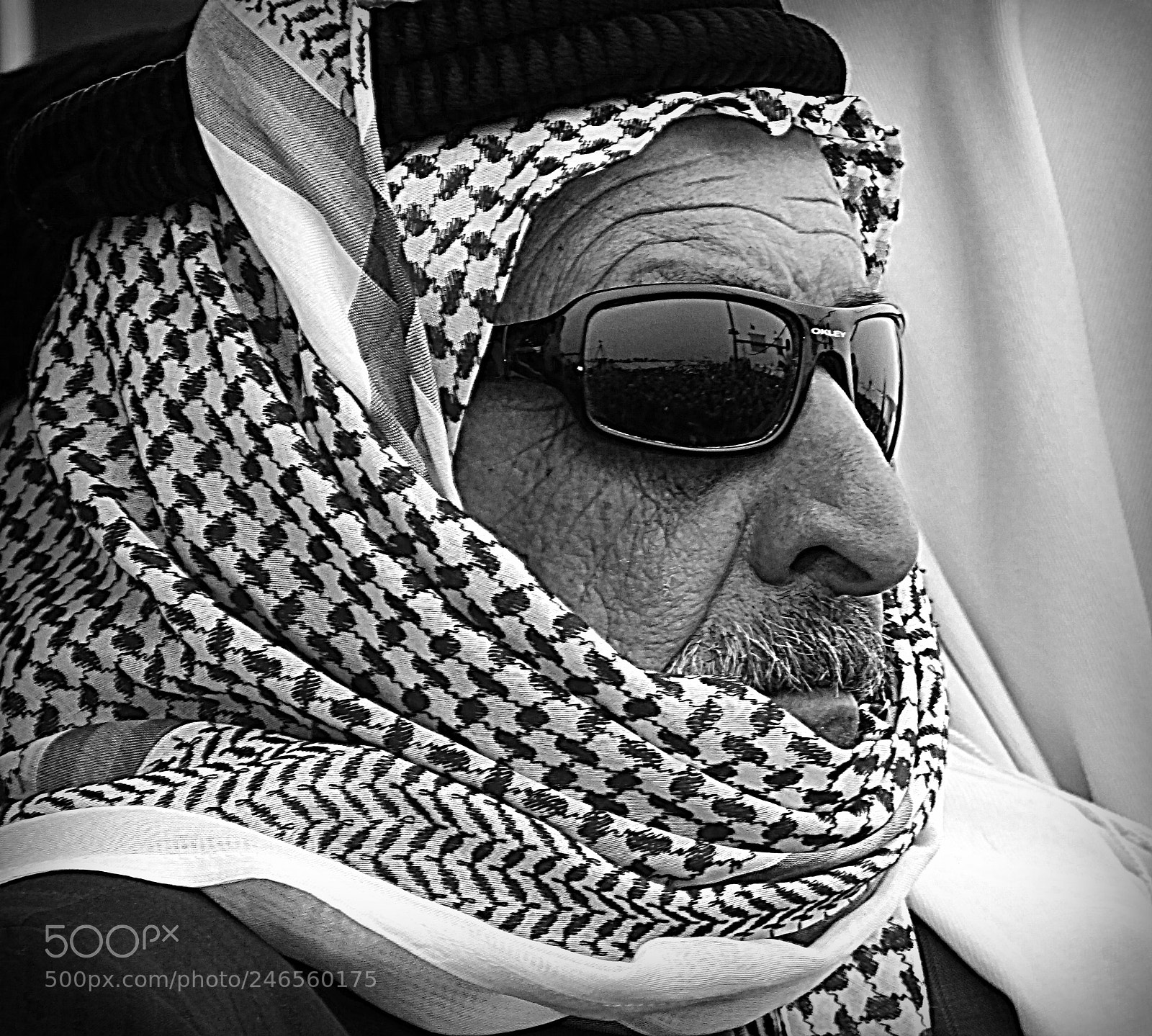 Sony Cyber-shot DSC-HX100V sample photo. Arabian photography