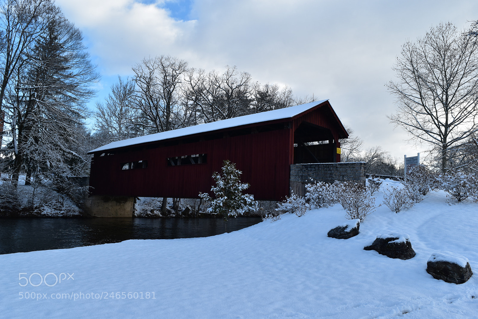 Nikon D5500 sample photo. Untitled photography