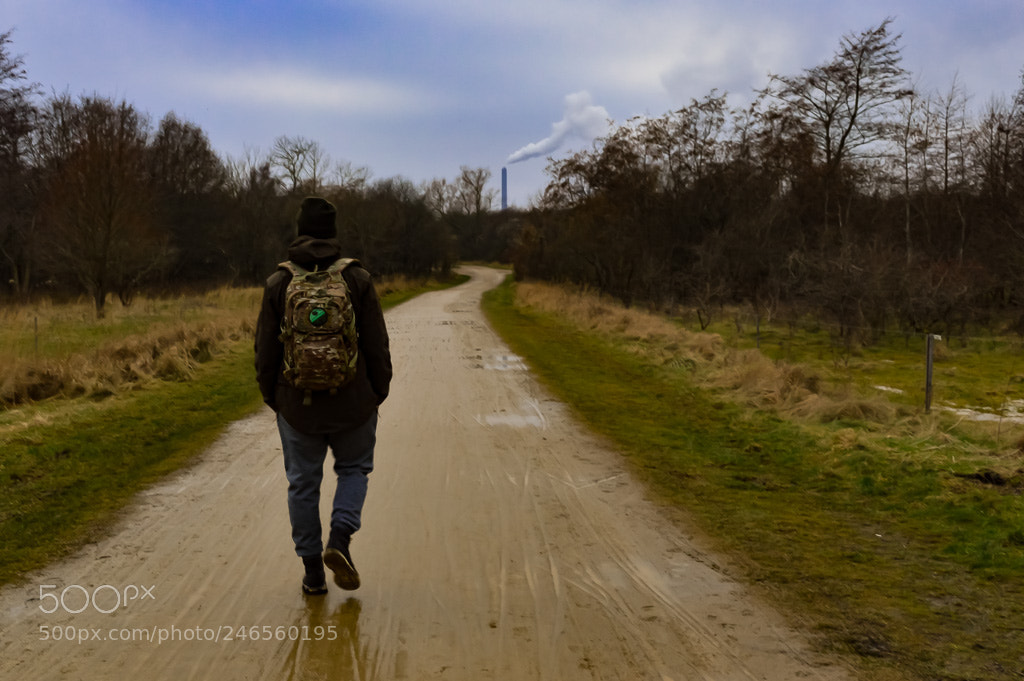 Nikon D3200 sample photo. Just walking photography