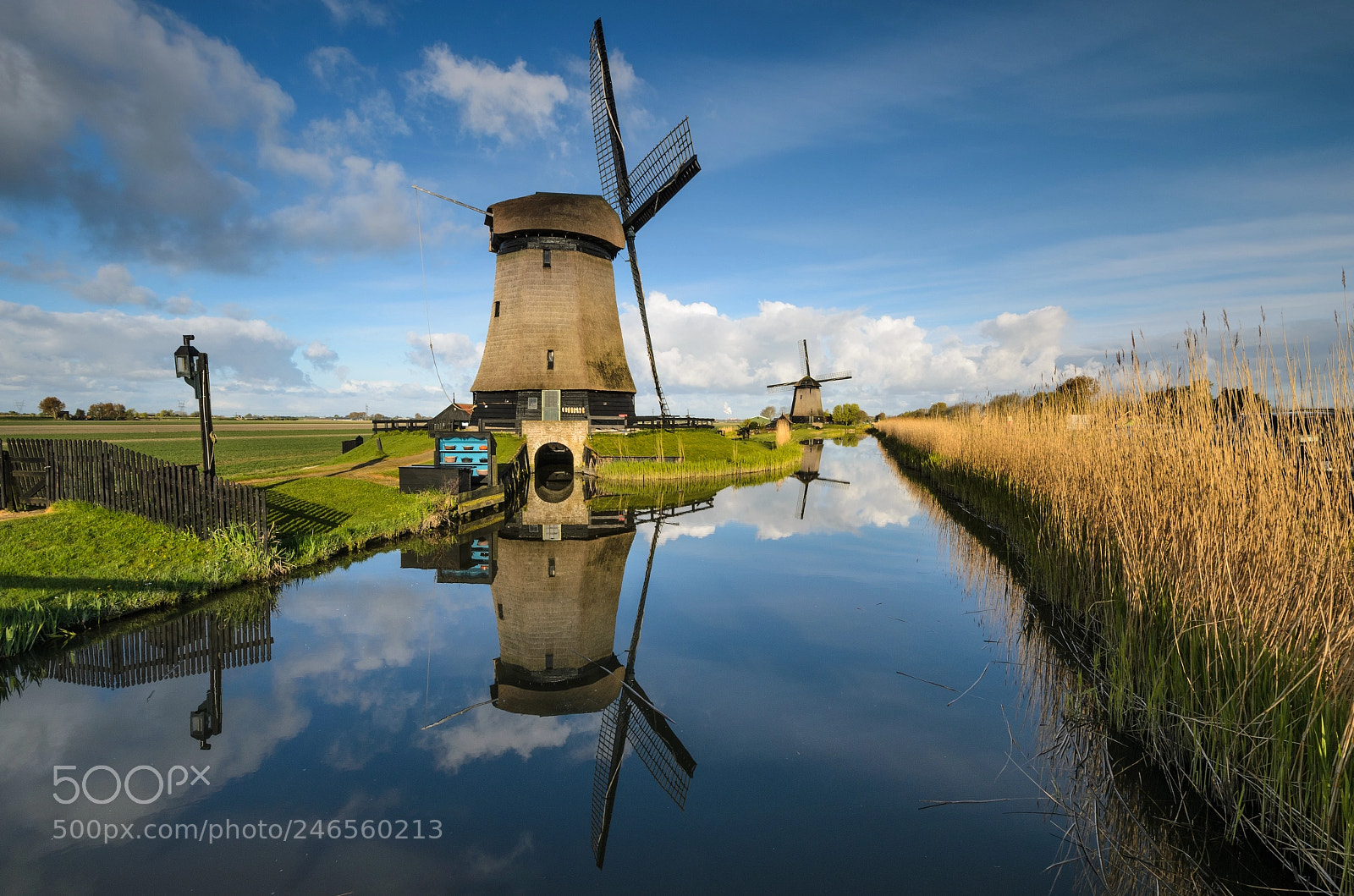 Nikon D5100 sample photo. The netherlands in a photography
