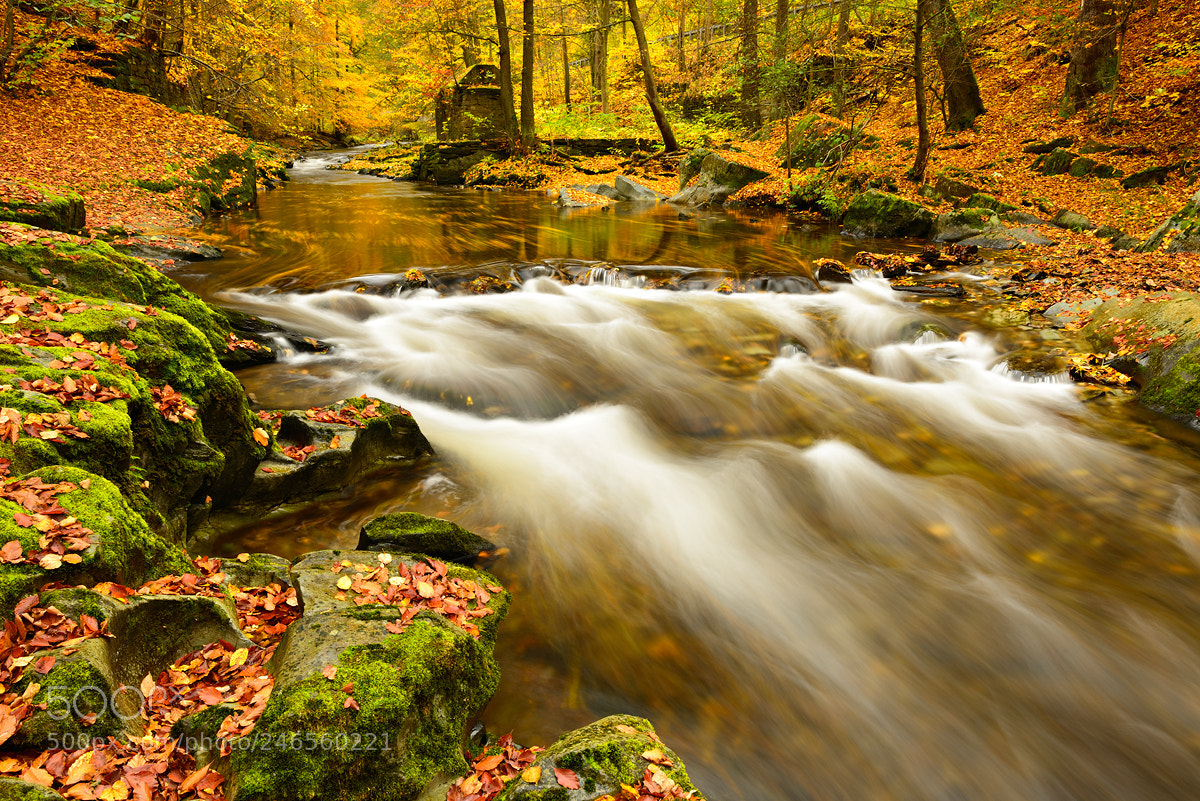 Nikon D800 sample photo. Riverrun photography