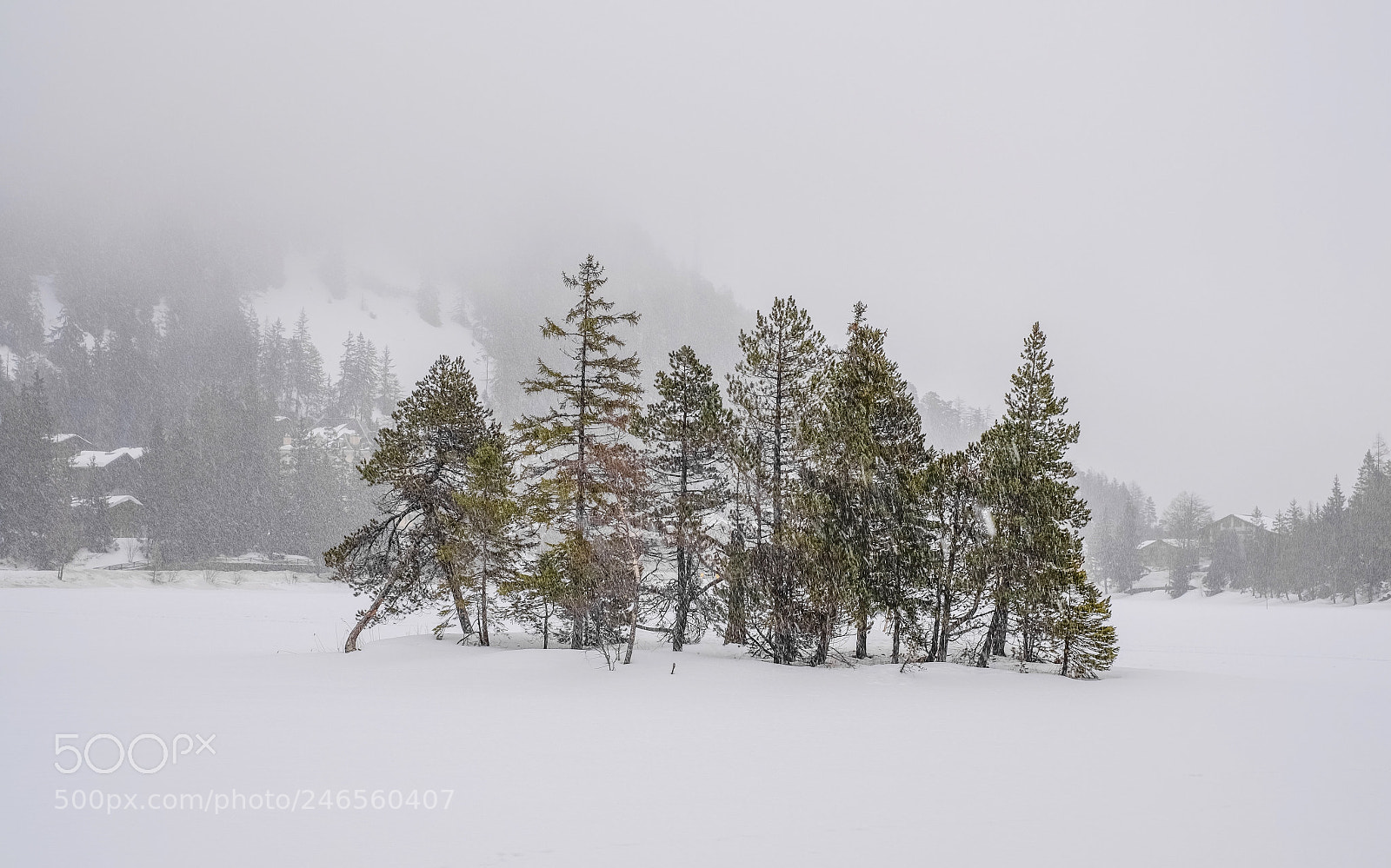 Fujifilm X-T10 sample photo. Snowy day photography
