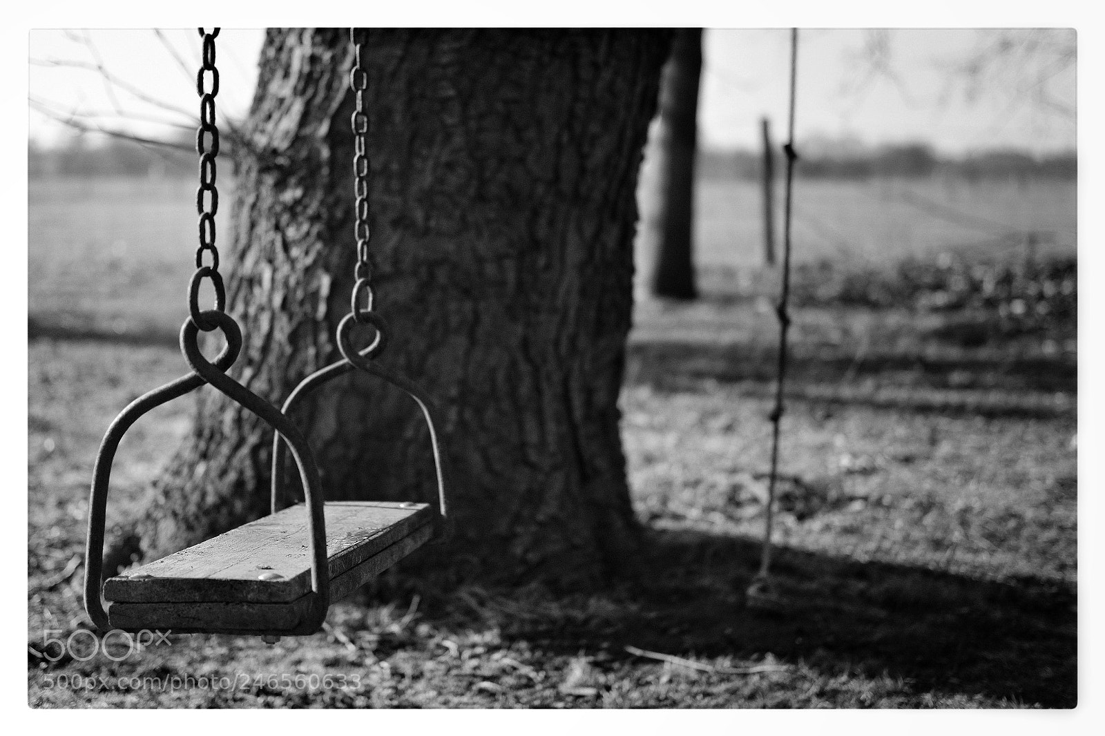 Fujifilm X-T20 sample photo. Untitled photography