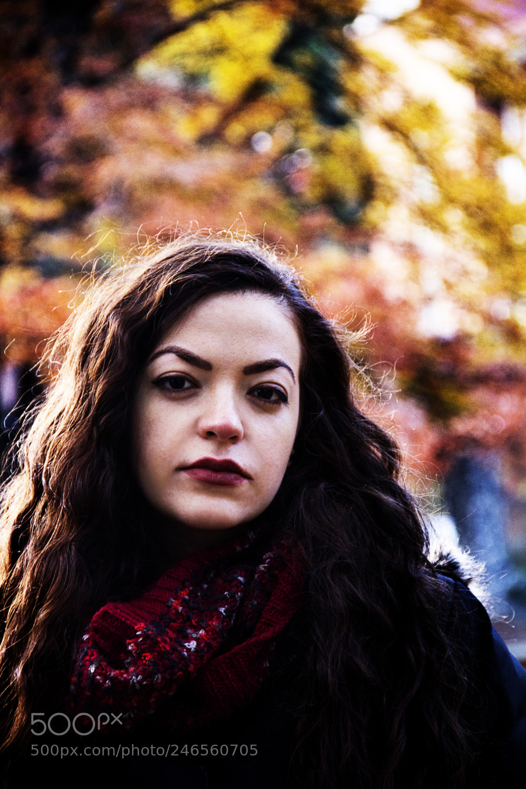 Canon EOS 60D sample photo. The beauty in autumn photography