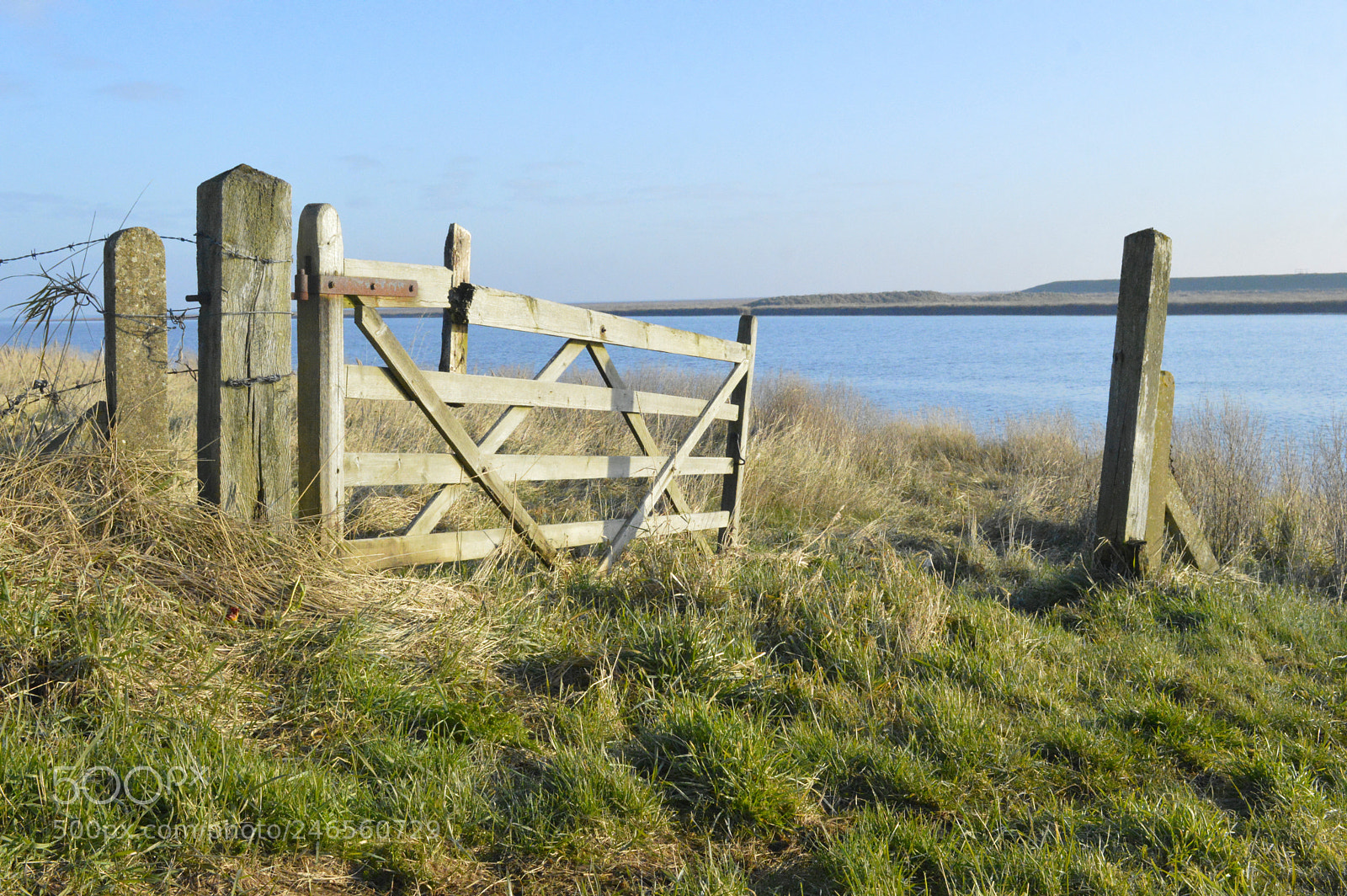 Nikon D3200 sample photo. Gateway photography