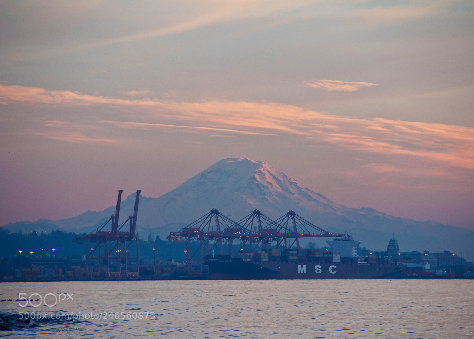 Canon EOS 60D sample photo. Mt. rainier photography