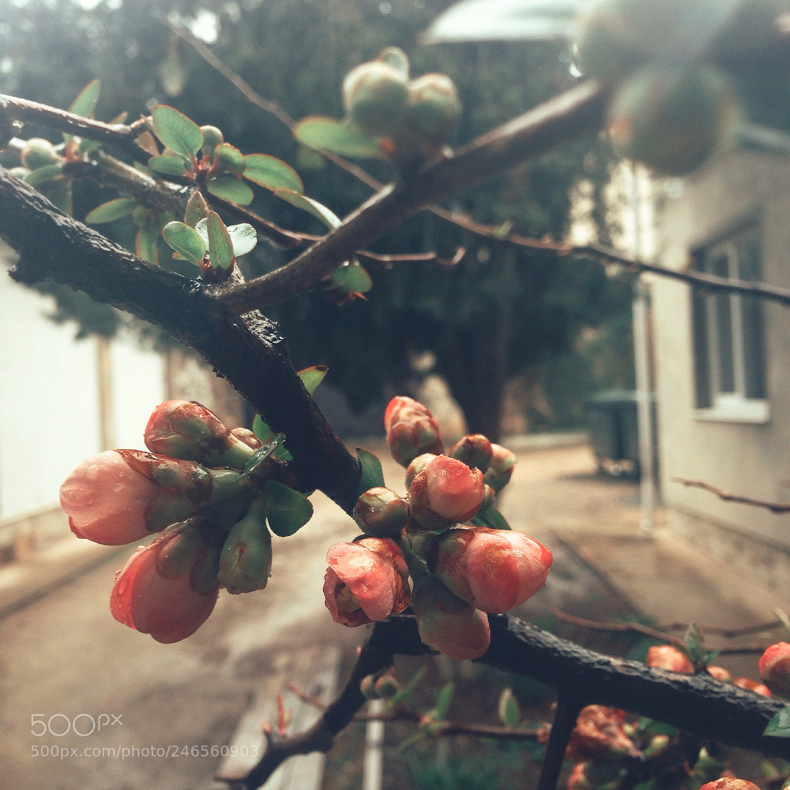 Apple iPhone 5 sample photo. Научные исследования в колледже - это скучно photography