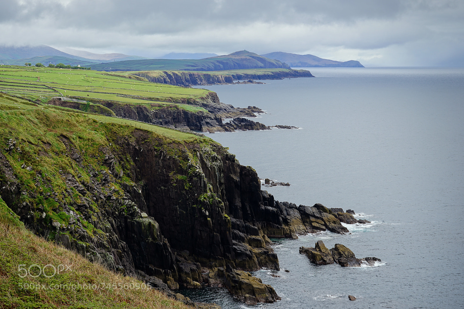 Sony a7 II sample photo. Grassy cliffs in ireland photography