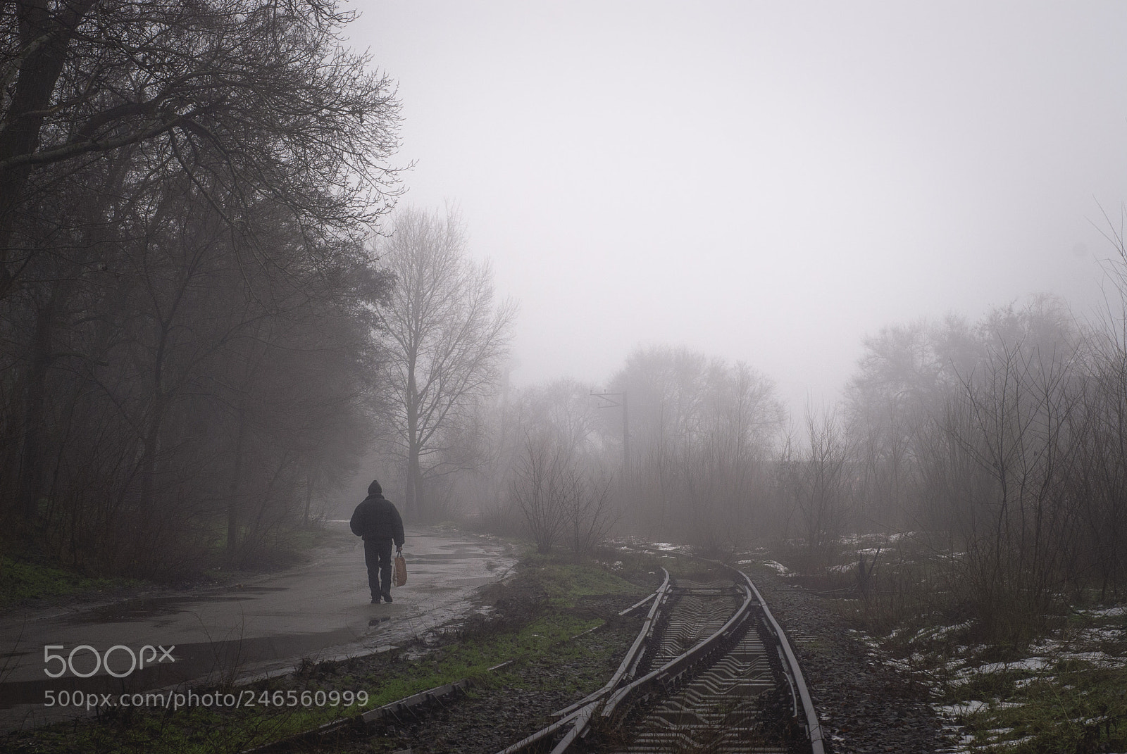 Nikon D80 sample photo. Railways photography
