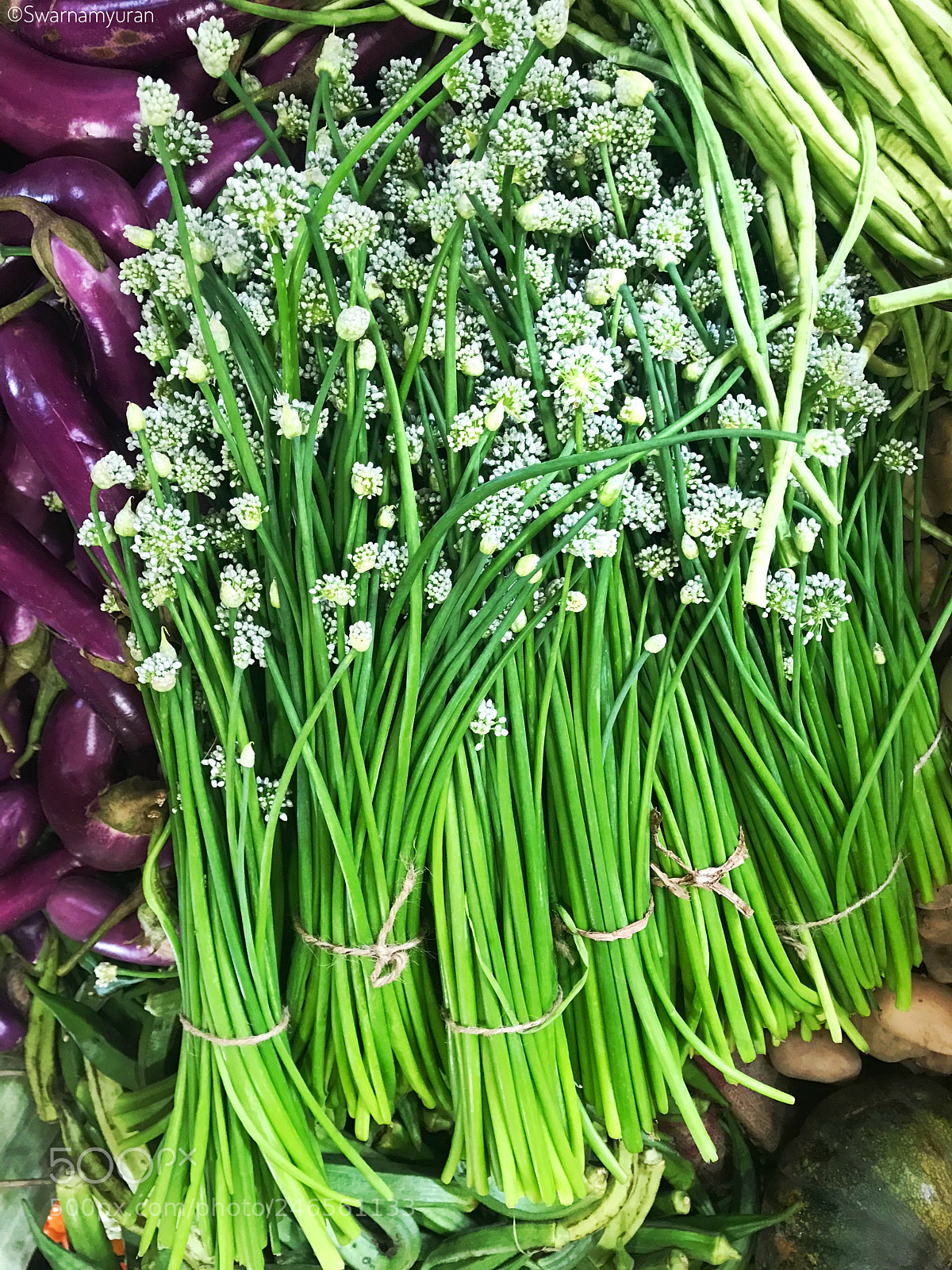 Apple iPhone 7 sample photo. Fresh onion leave bundles photography