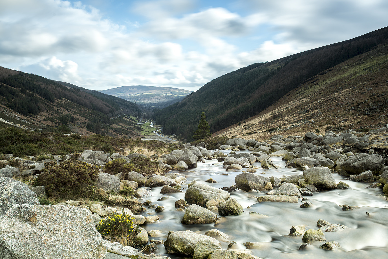 Nikon D810 sample photo. Wicklow mountain photography