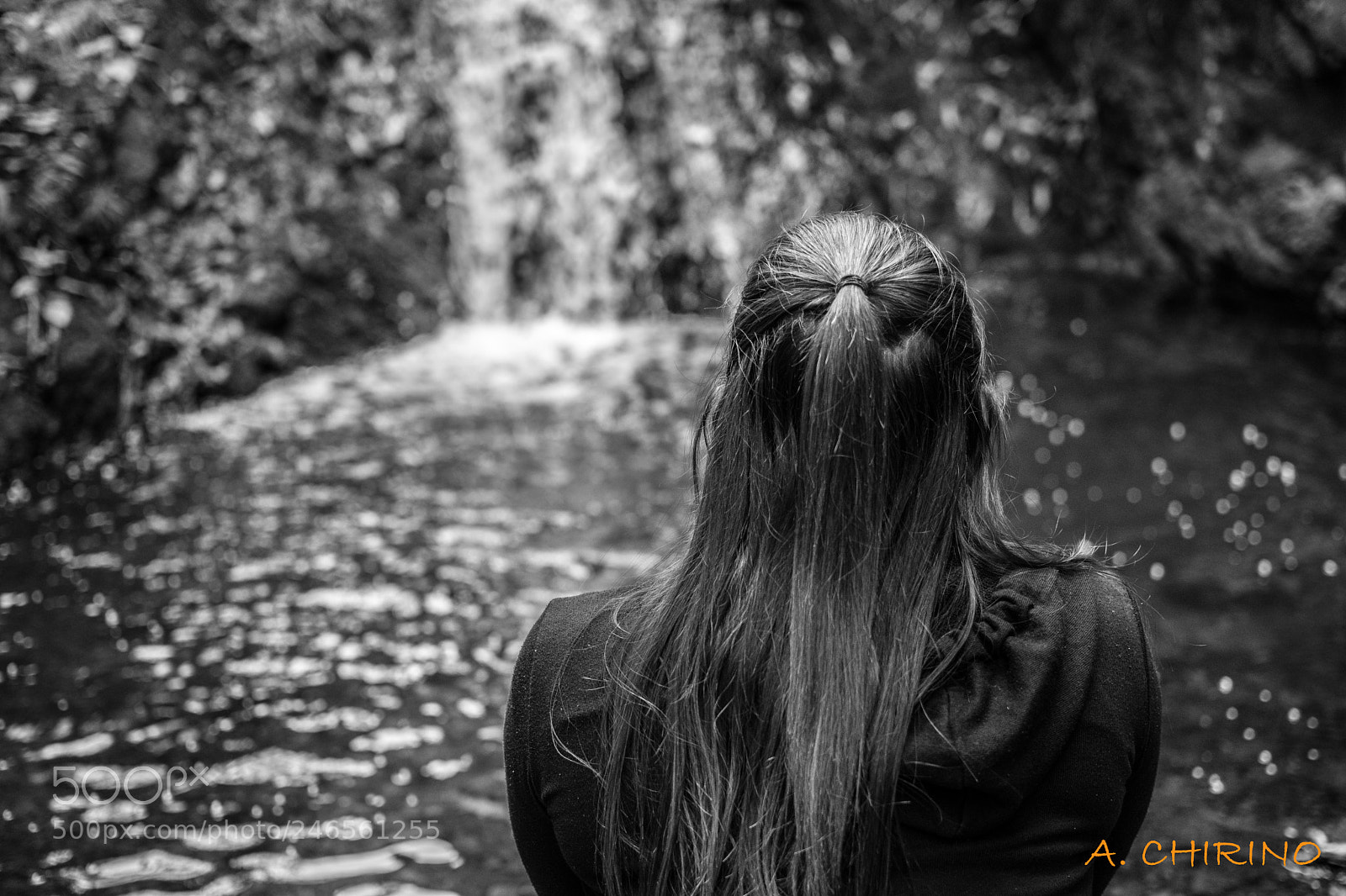 Nikon D3400 sample photo. Dream whit fall photography