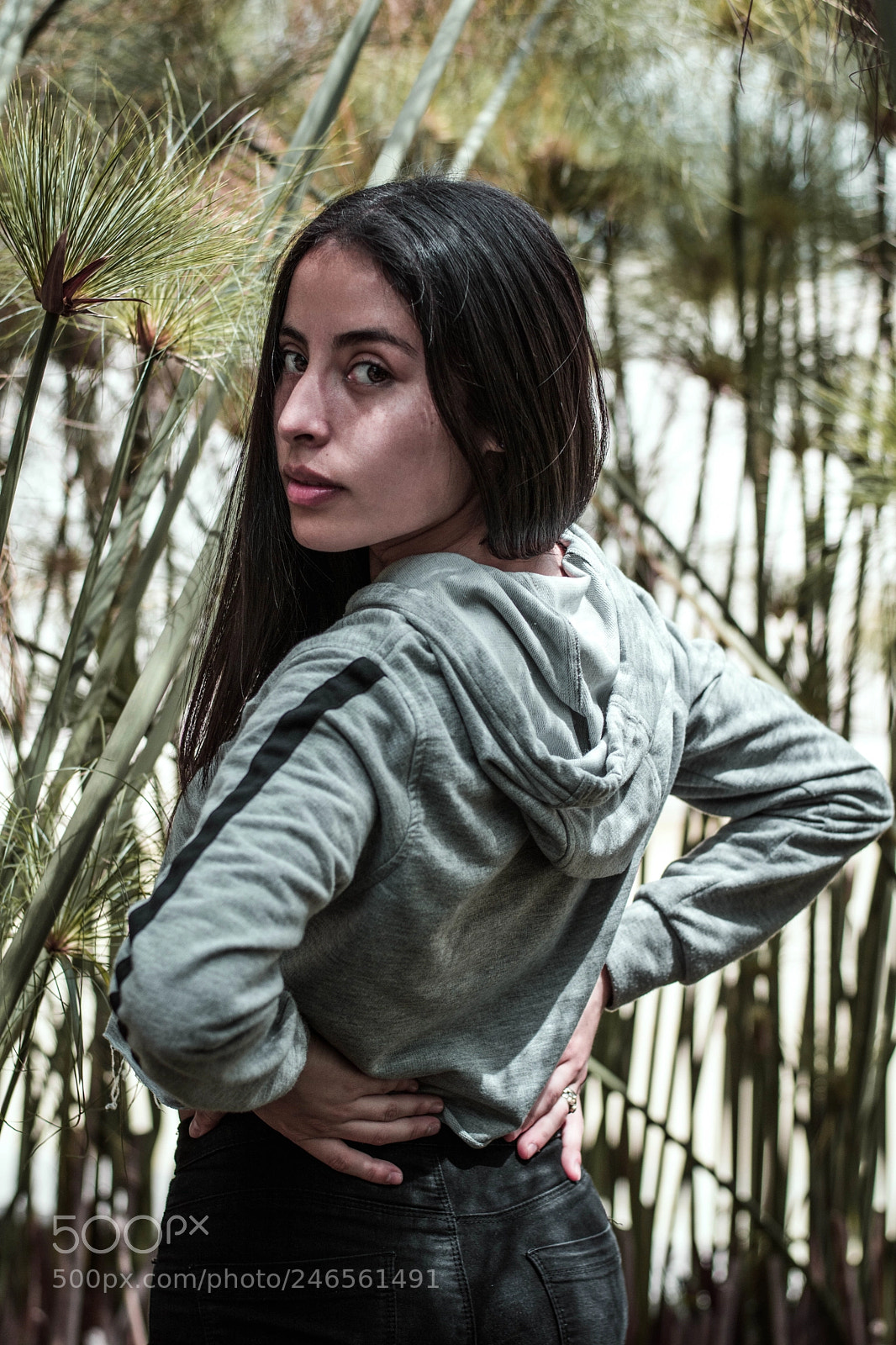 Nikon D7100 sample photo. Untitled photography