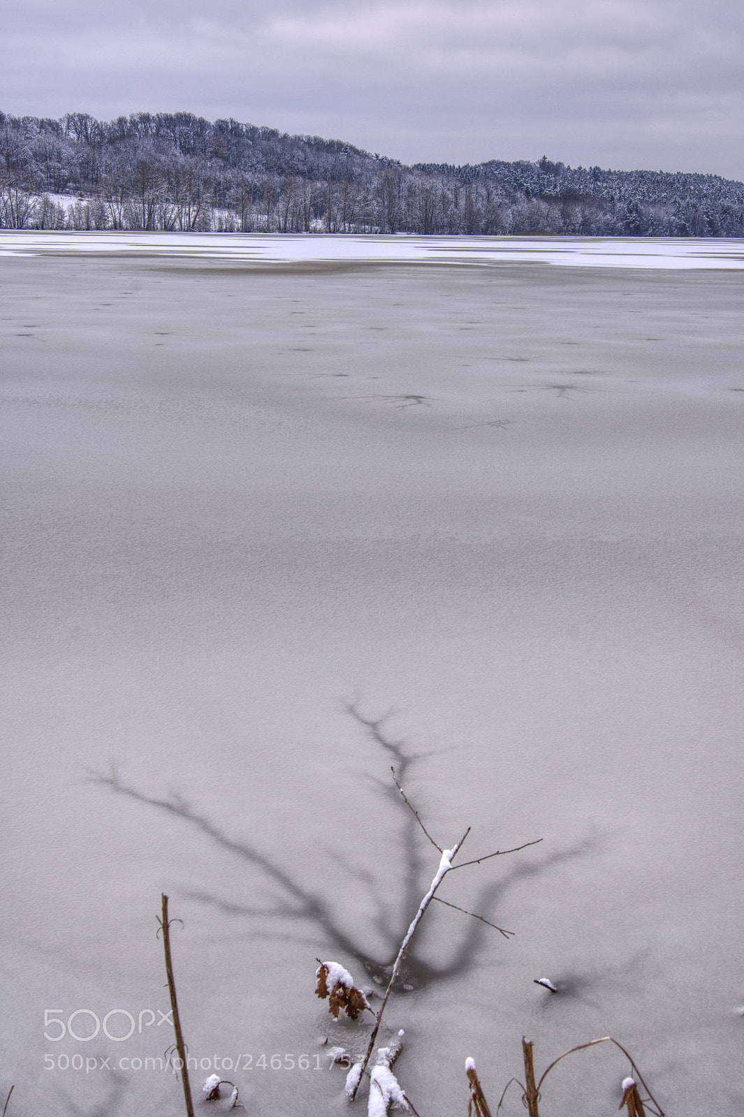 Nikon D7200 sample photo. Winter am brombachsee photography