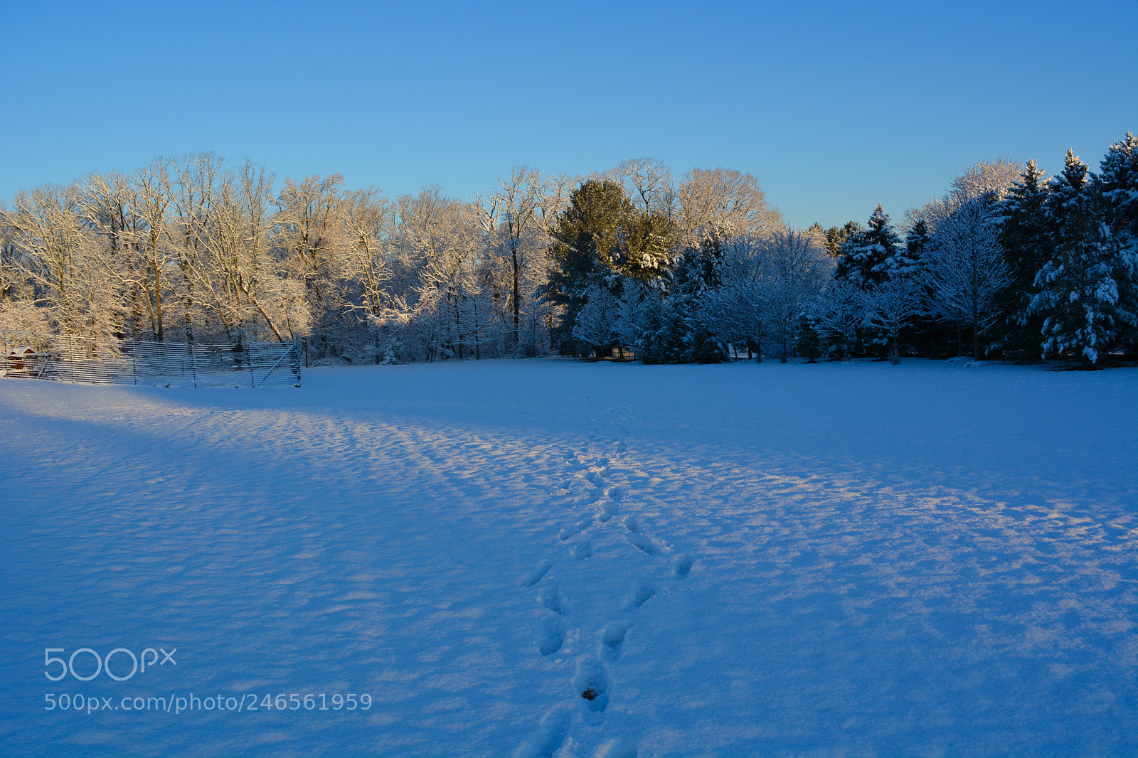 Nikon D7100 sample photo. Untitled photography