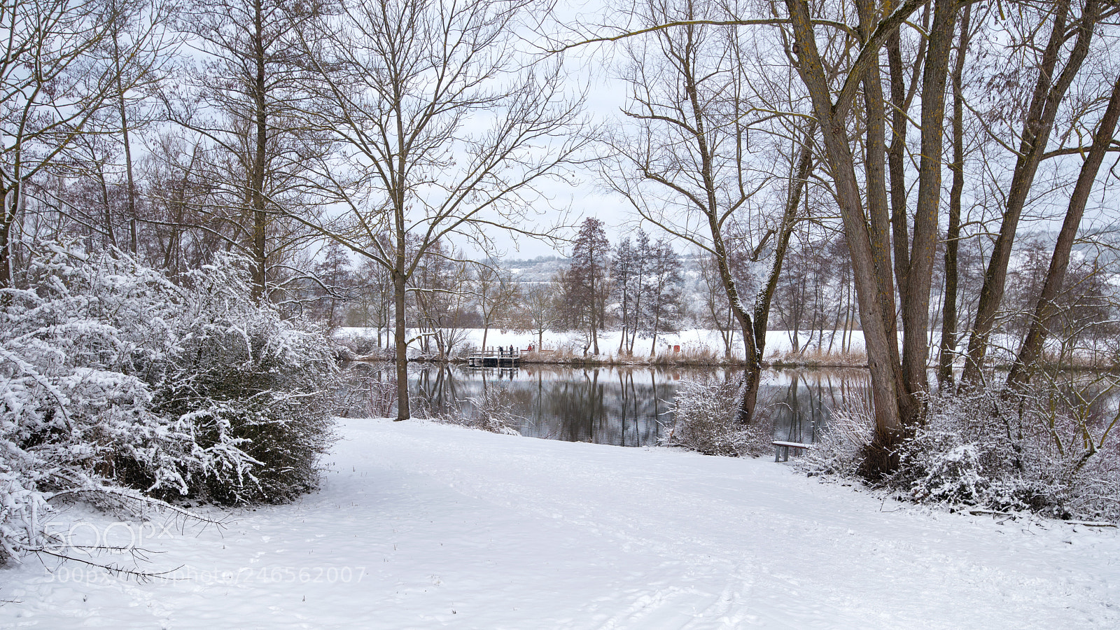 Nikon D810 sample photo. Westpark regensbur photography
