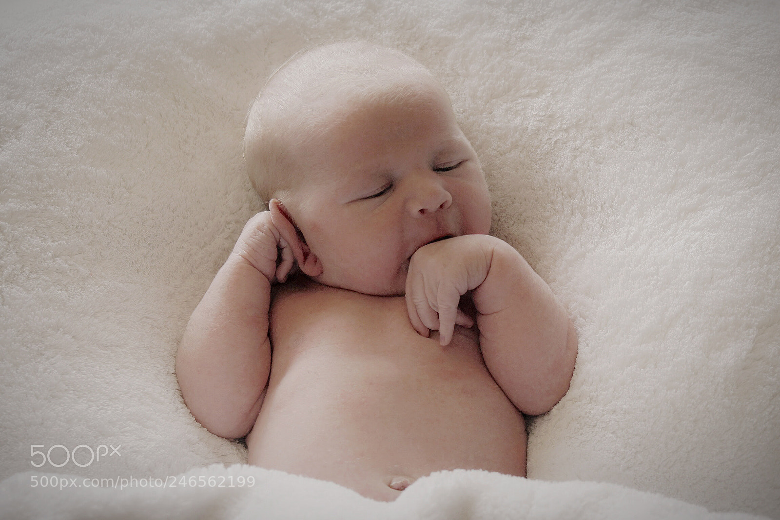 Sony a6500 sample photo. Baby grey, ethereal. photography
