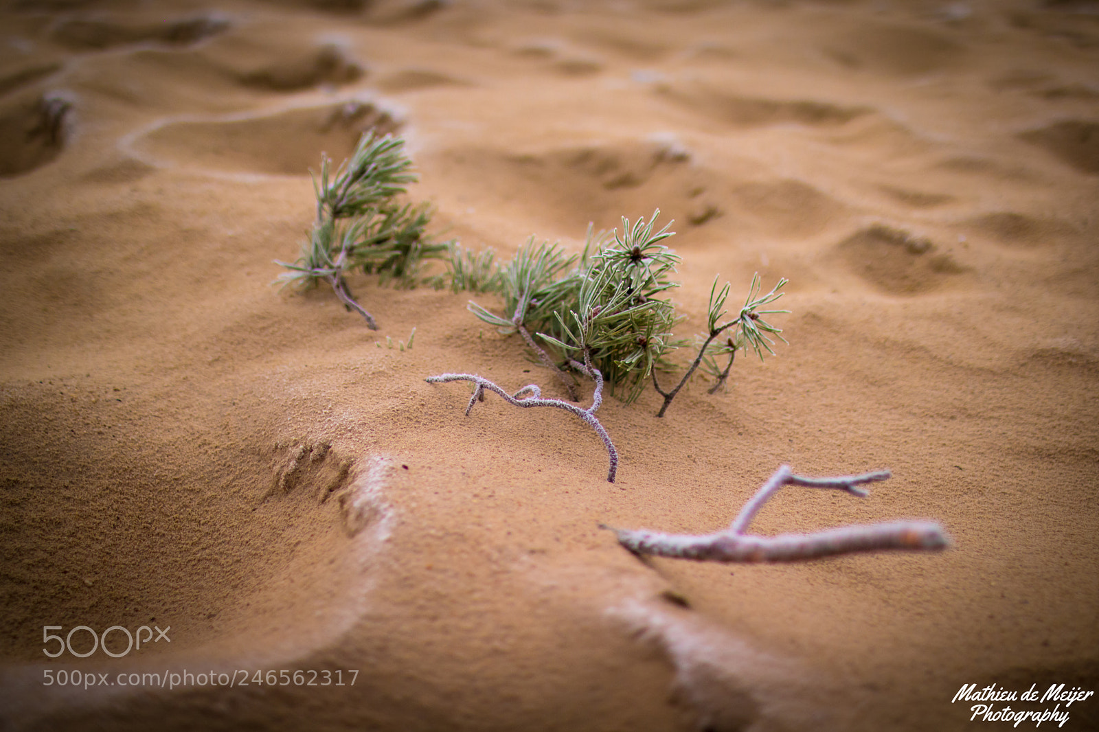 Canon EOS 750D (EOS Rebel T6i / EOS Kiss X8i) sample photo. Sands of time photography