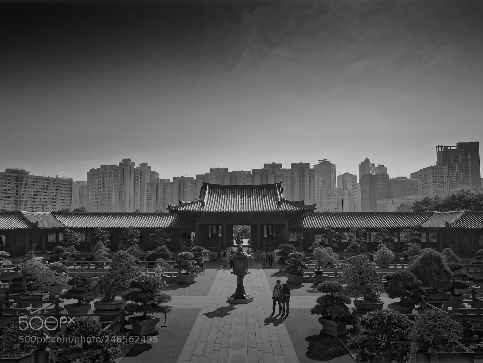 Panasonic DMC-G81 sample photo. Chi lin nunnery photography