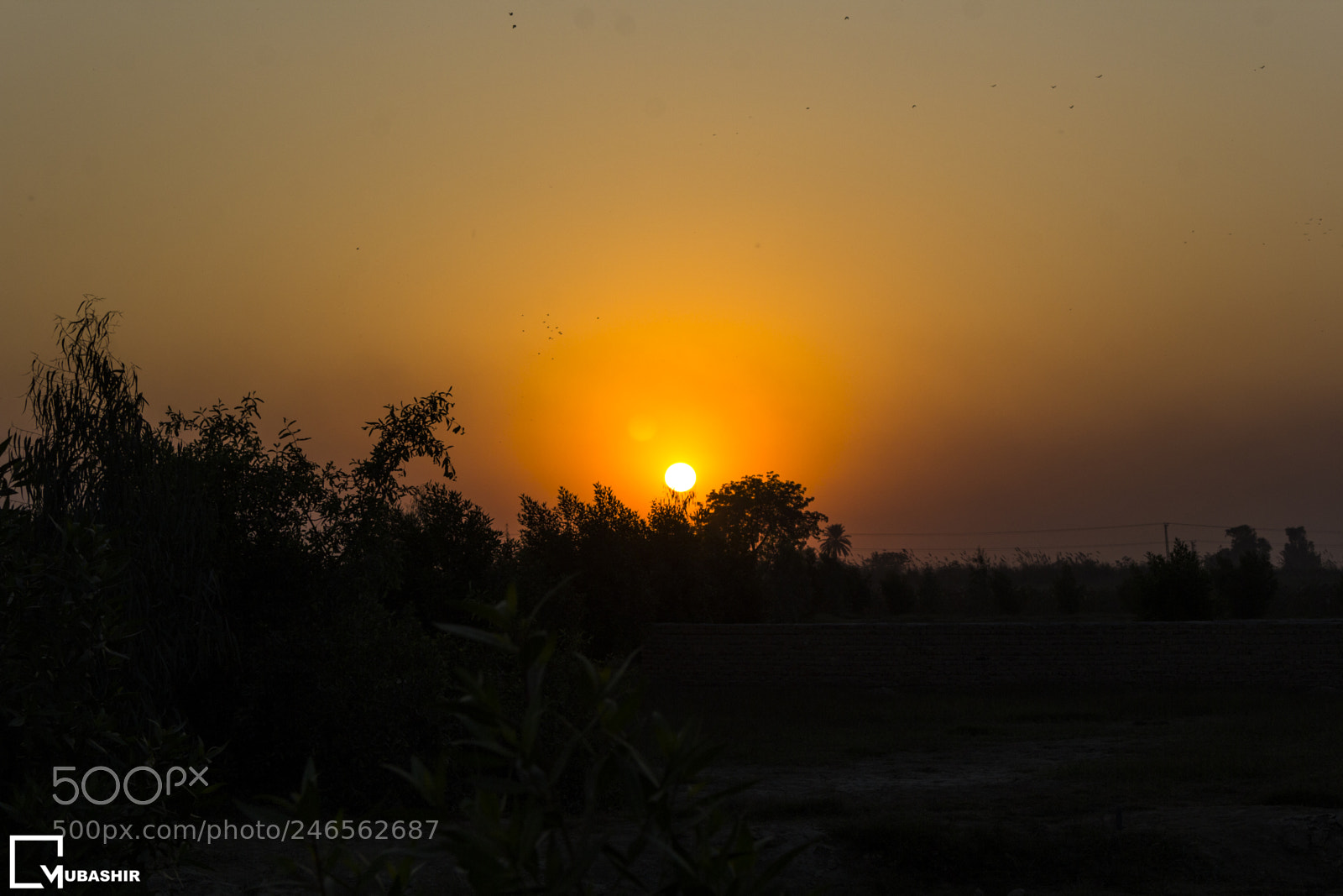 Canon EOS 60D sample photo. Sunset photography