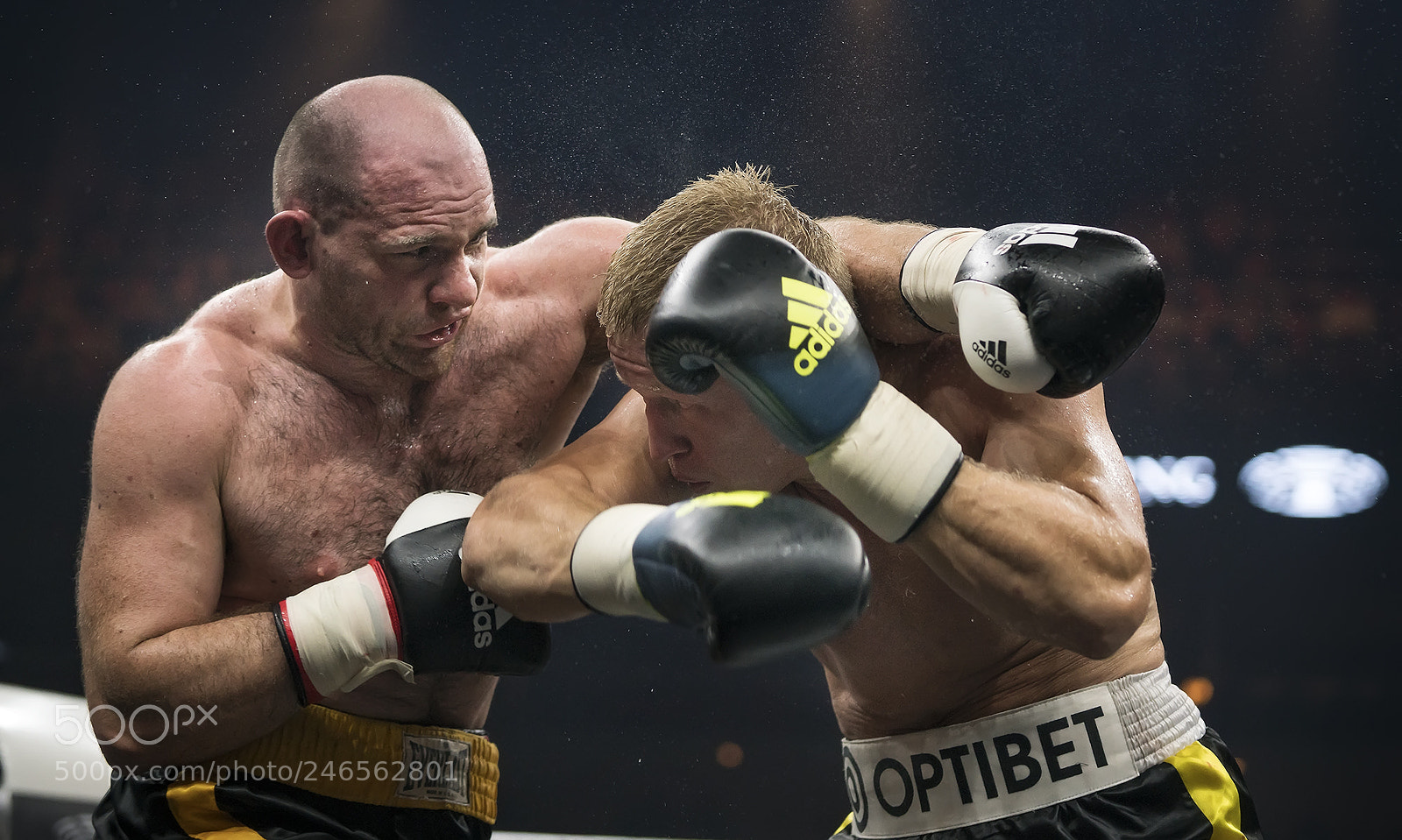 Sony a7R II sample photo. Boxing championship photography