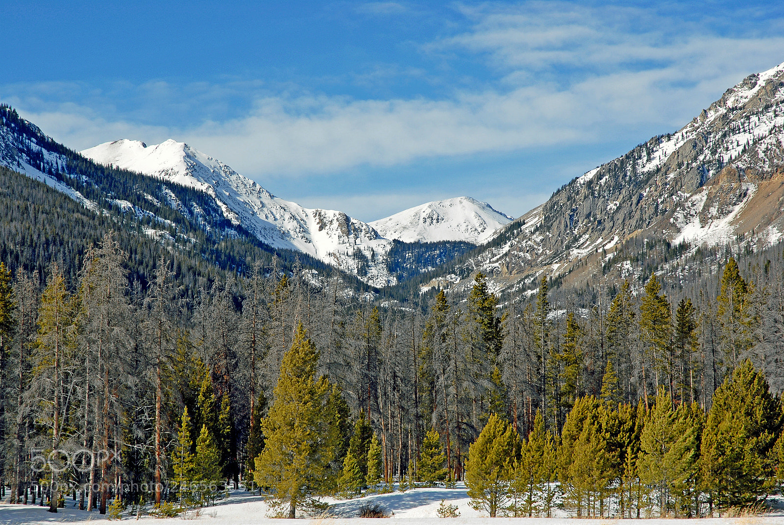 Nikon D200 sample photo. Bowen mountain in winter photography