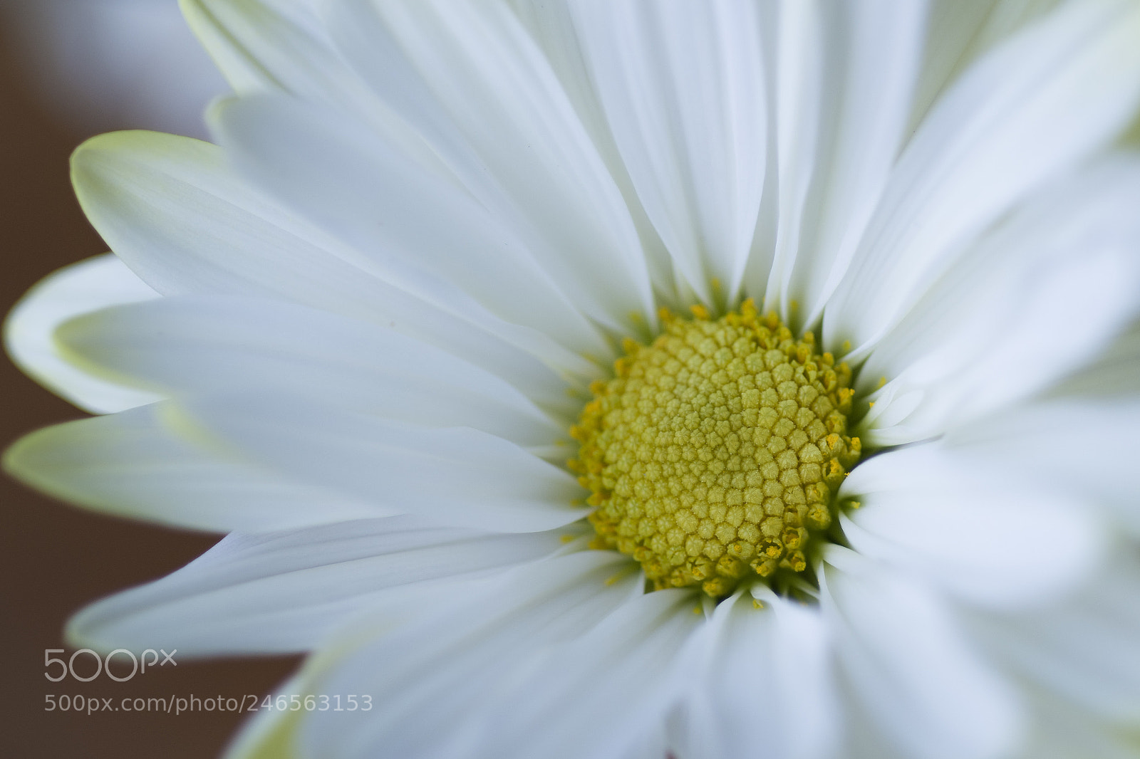 Nikon D850 sample photo. Inside photography