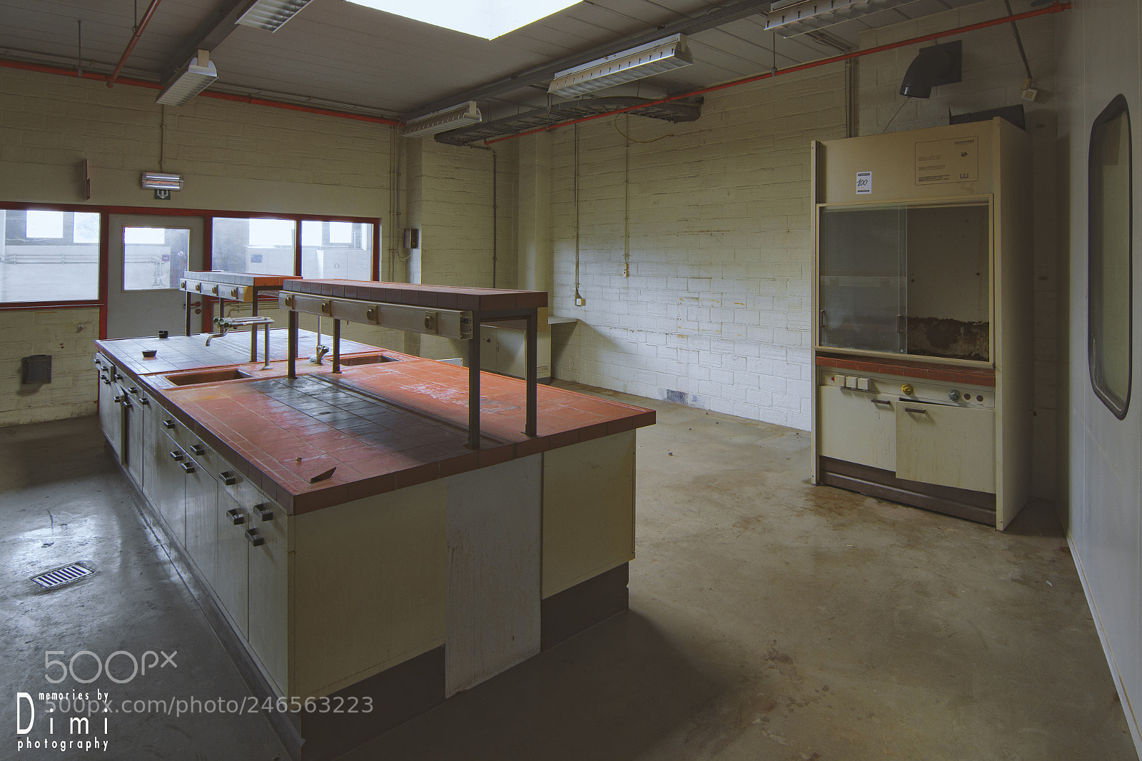 Nikon D7200 sample photo. Lab's closed "forever" photography