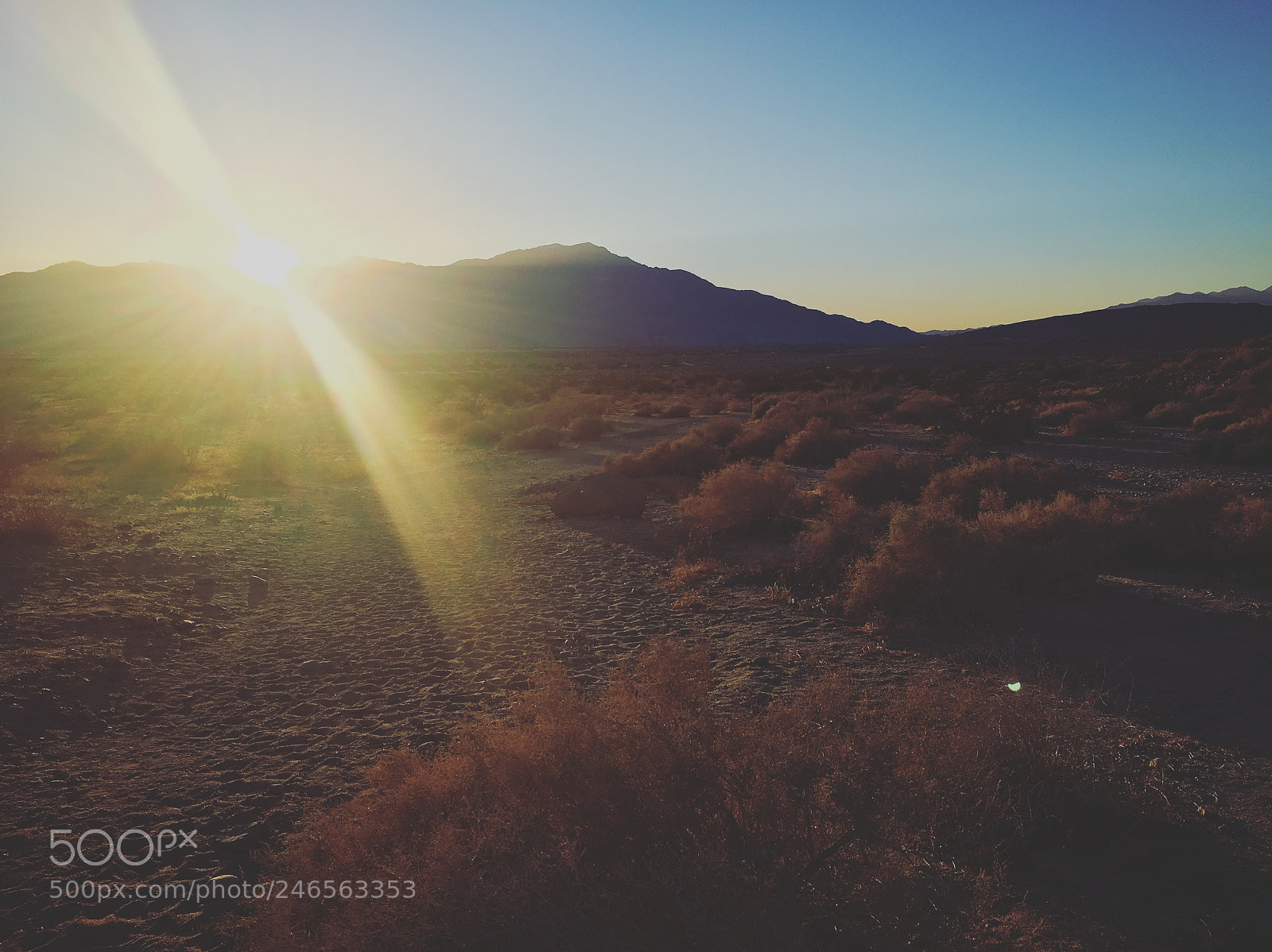 Apple iPhone 6s sample photo. California desert #iphone photography