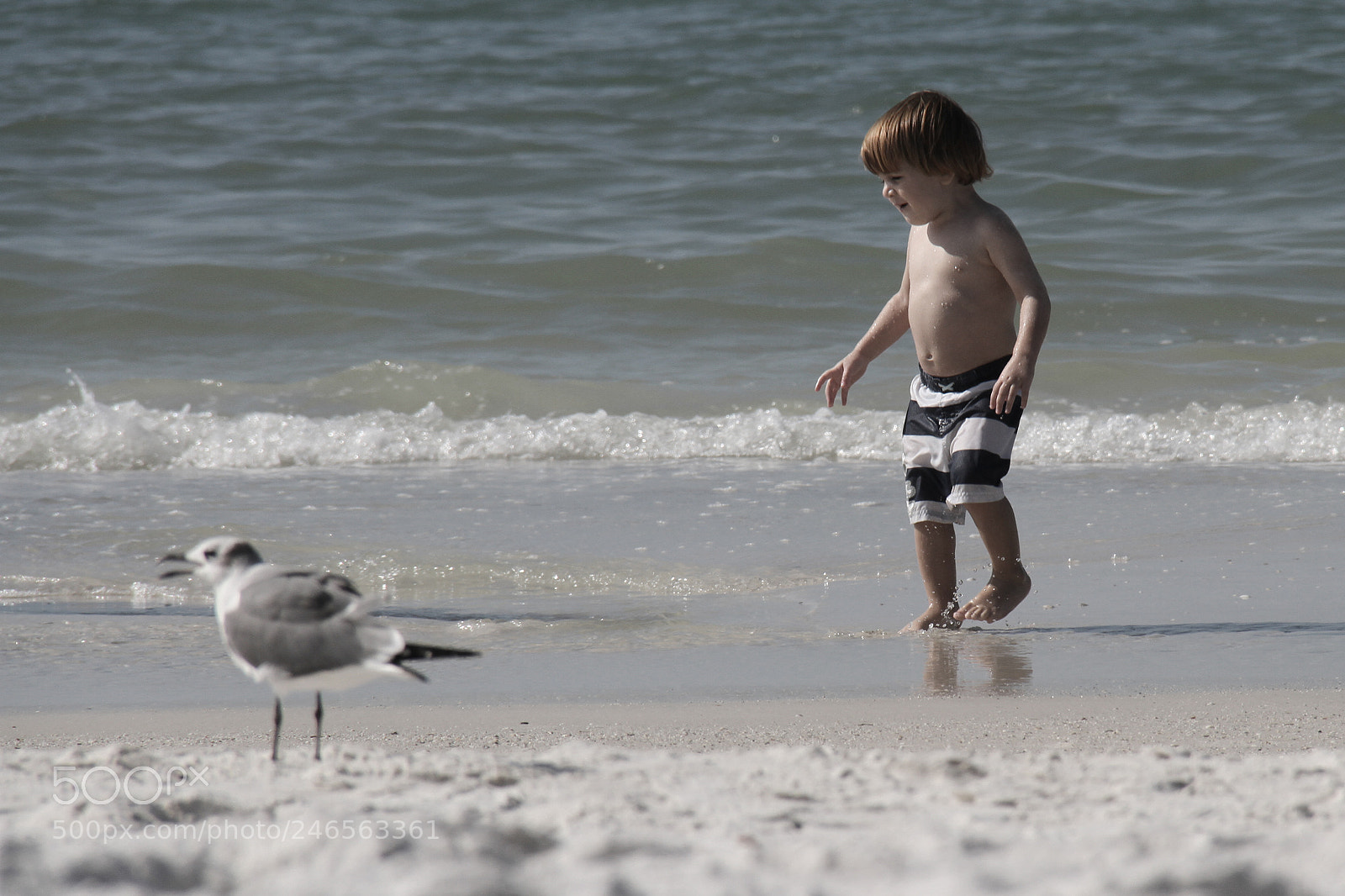 Canon EOS 7D sample photo. Untitled photography