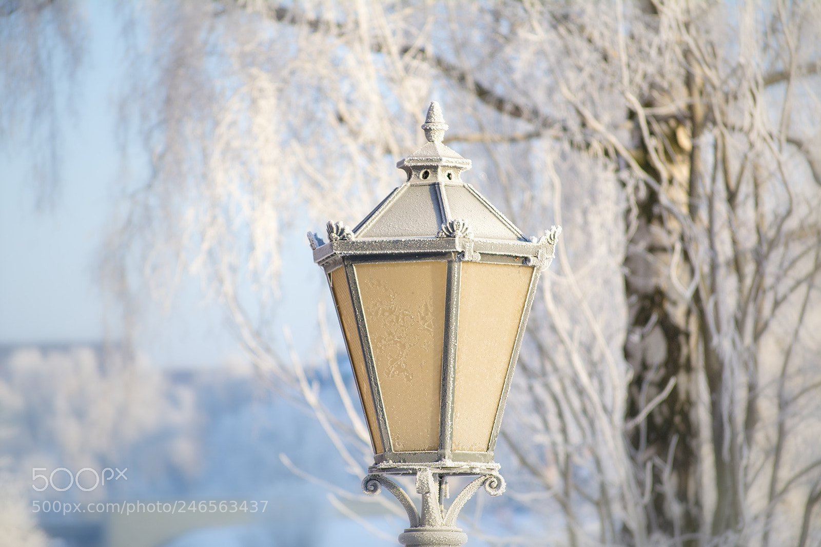 Nikon D5200 sample photo. Winter photography