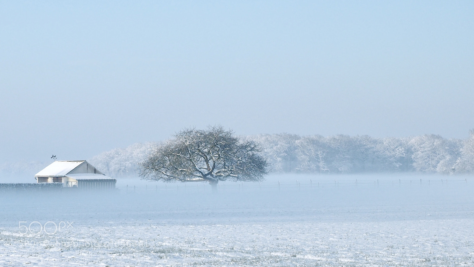 Olympus OM-D E-M1 Mark II sample photo. White morning photography