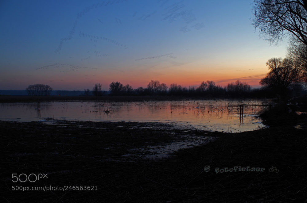 Pentax K-50 sample photo. Zonsondergang in de ooypolder photography