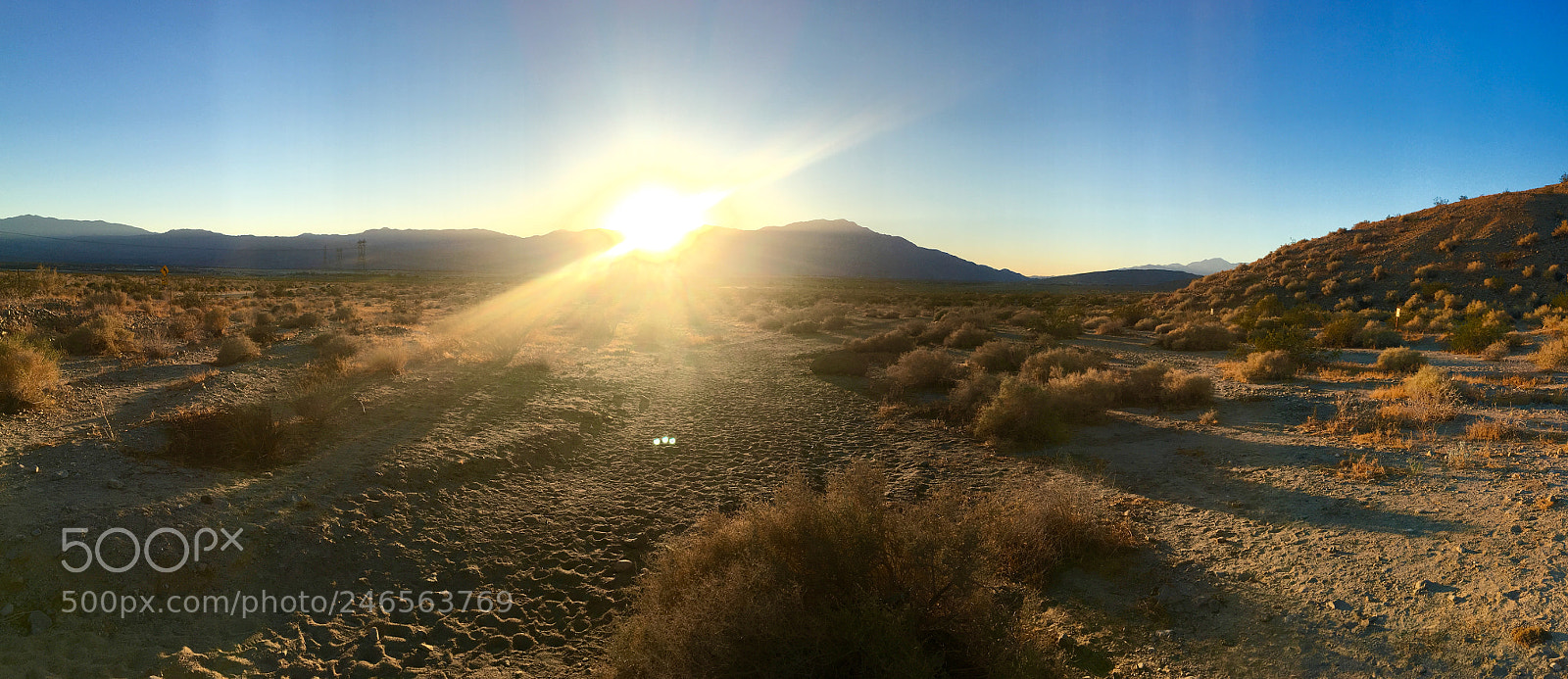 Apple iPhone 6s sample photo. California desert #iphone photography