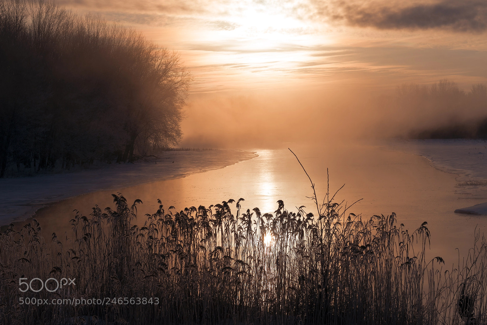 Sony a6500 sample photo. Dawn on the muskrat photography