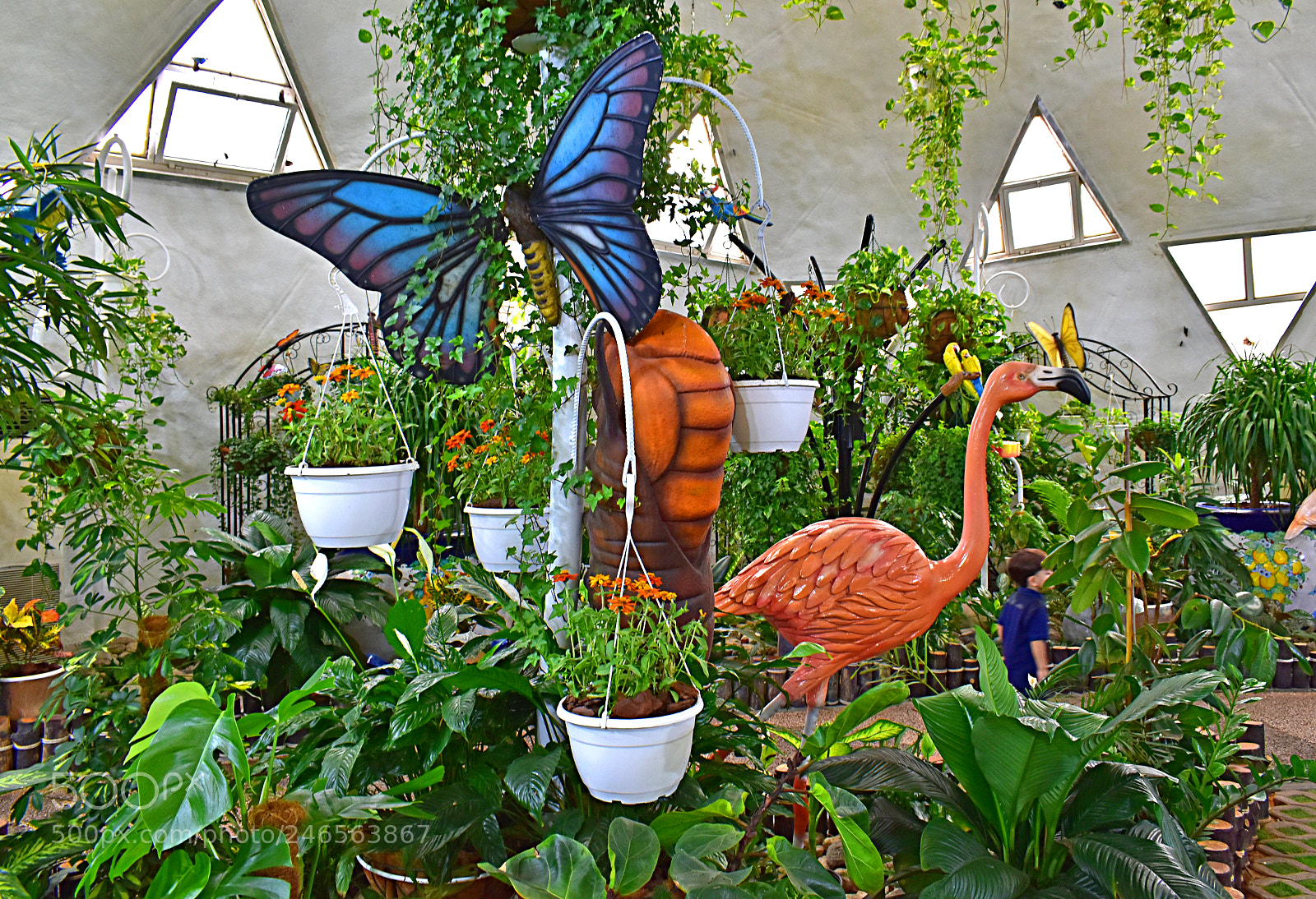 Nikon D5600 sample photo. В саду photography