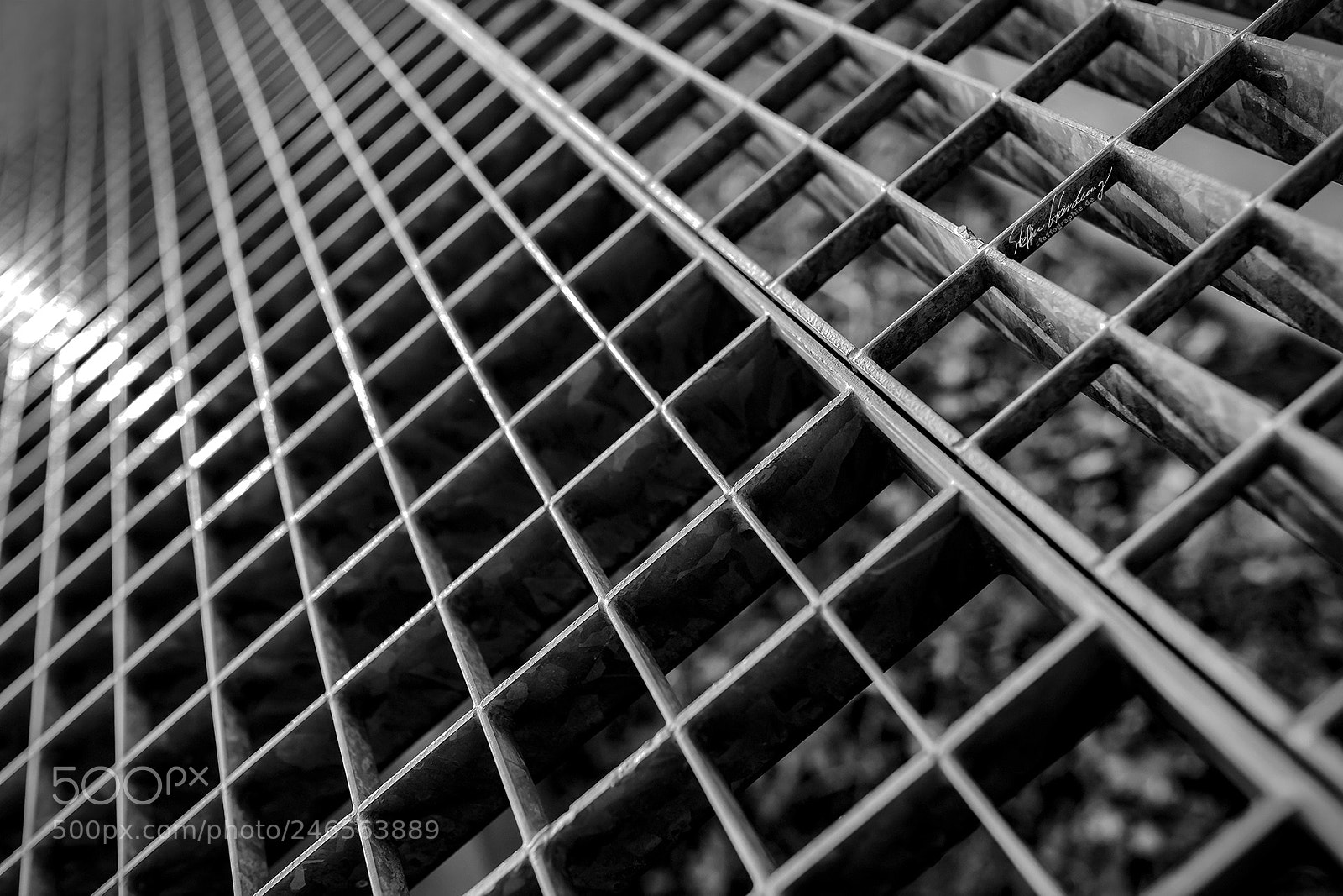 Fujifilm X-T2 sample photo. Scewback lattice photography