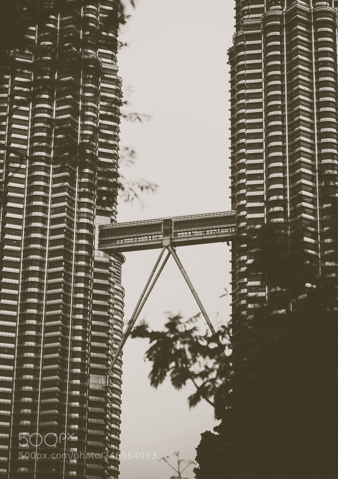 Olympus OM-D E-M1 sample photo. Kuala lumpur trip photography