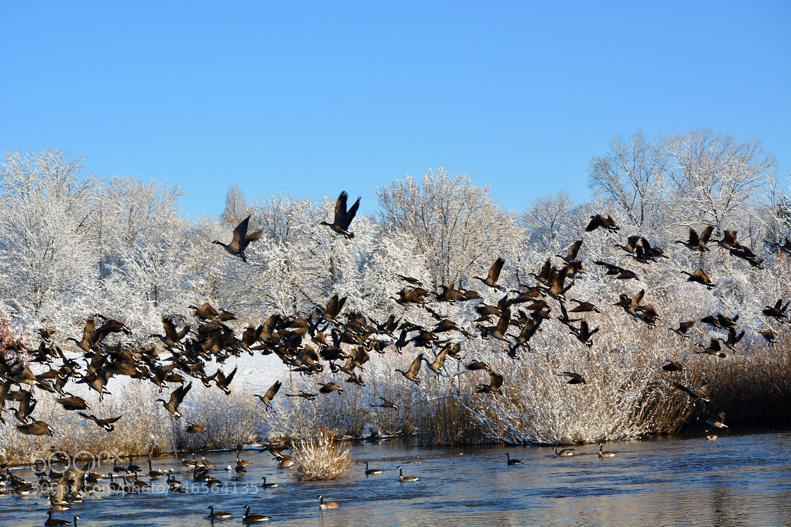 Nikon D7100 sample photo. Untitled photography