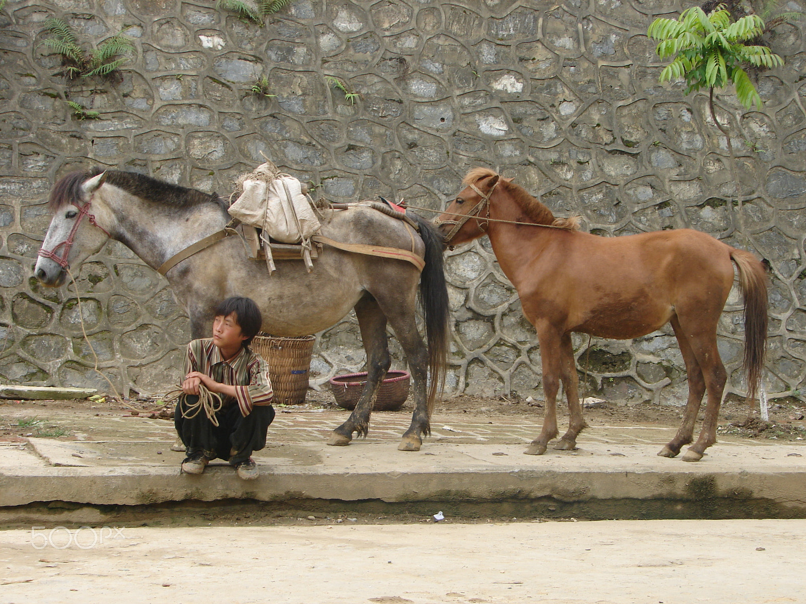 Sony DSC-H1 sample photo. Vietnam foto's photography