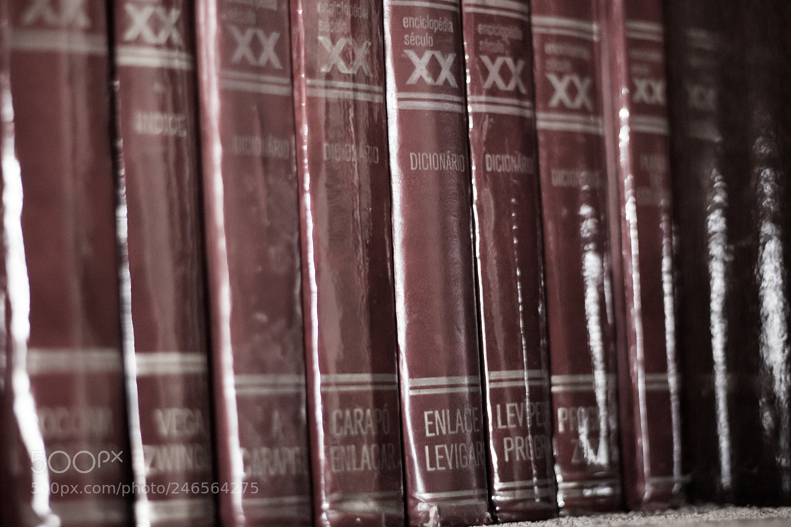 Canon EOS 700D (EOS Rebel T5i / EOS Kiss X7i) sample photo. Alte bibliothek photography