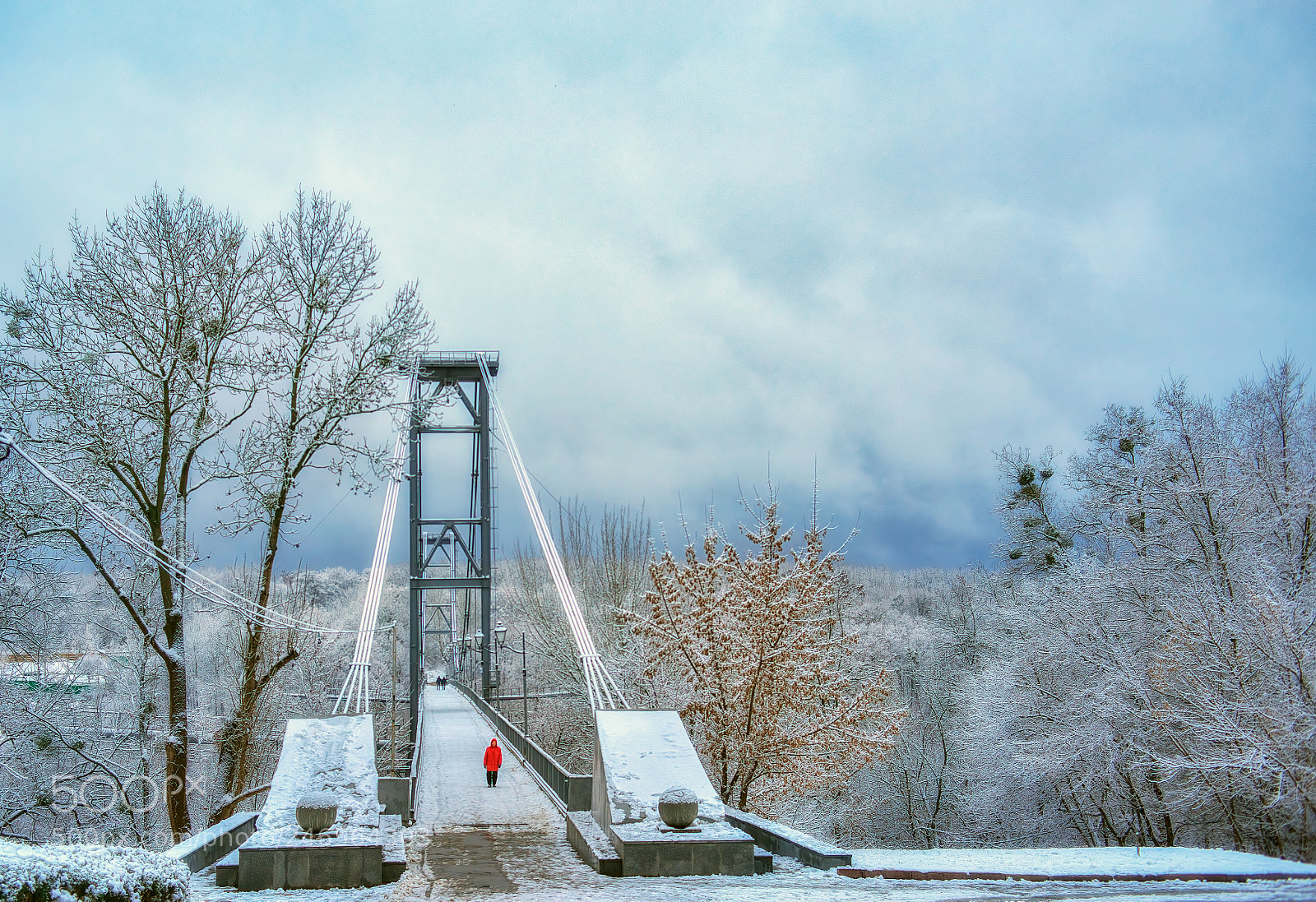 Nikon D800E sample photo. Bridge photography