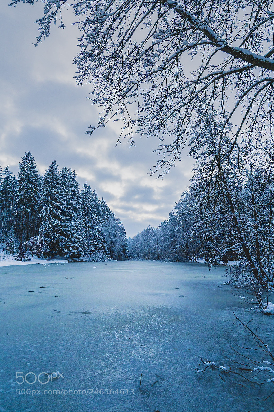 Sony a5100 sample photo. Welten wald photography