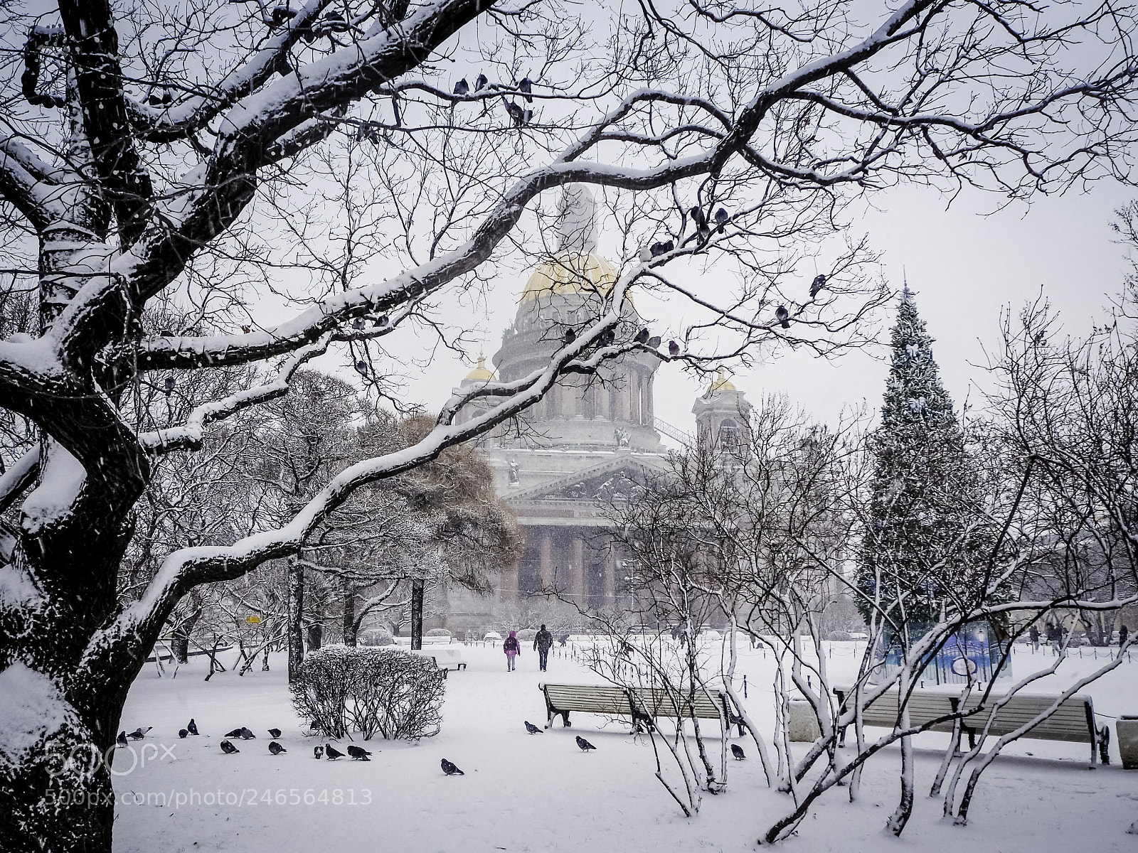 Olympus OM-D E-M10 II sample photo. Saint-petersburg photography