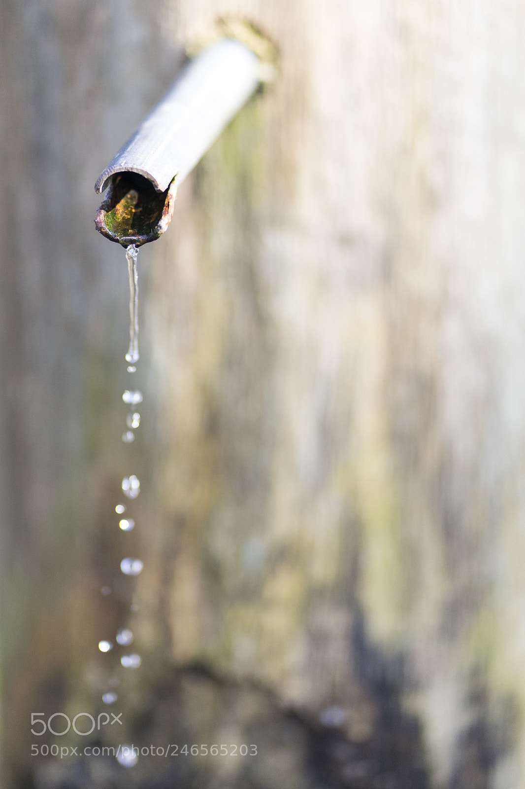 Sony a7 sample photo. Water photography