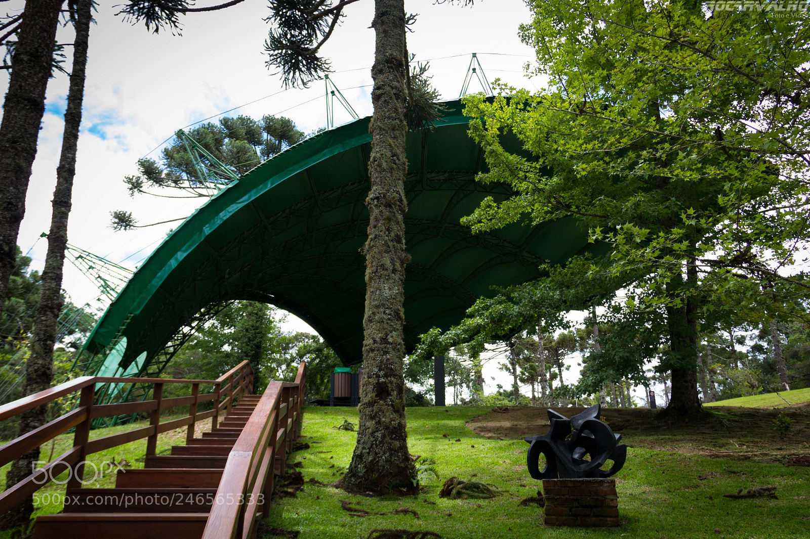 Canon EOS 60D sample photo. Park photography