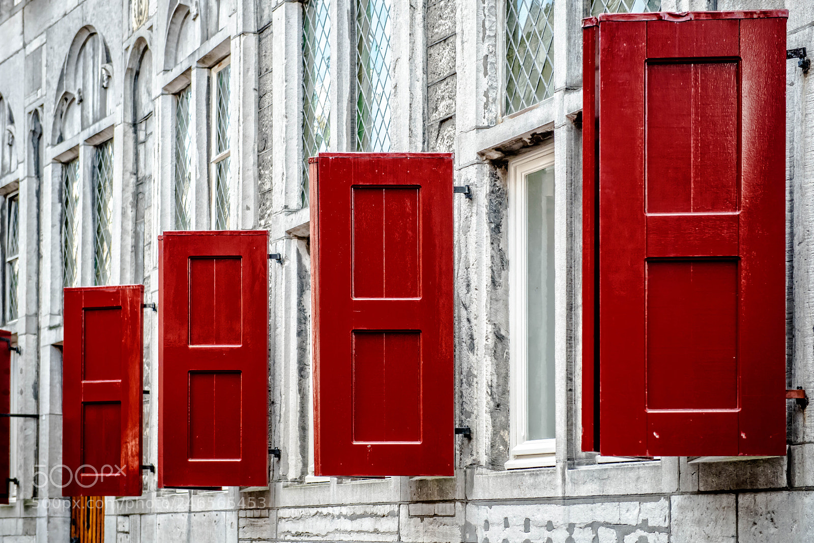 Nikon D800 sample photo. Fifty shades of red photography