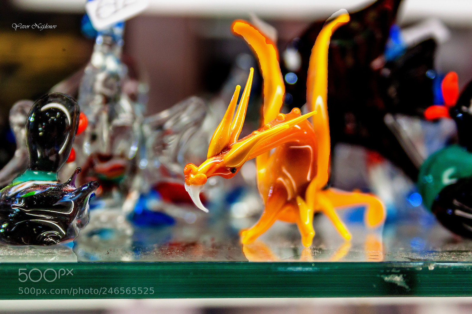 Canon EOS 500D (EOS Rebel T1i / EOS Kiss X3) sample photo. The glass dragon photography