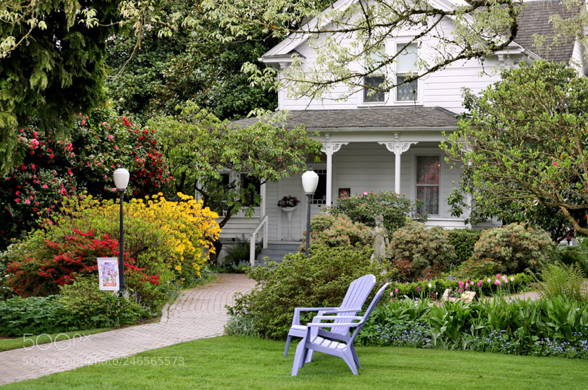 Canon EOS 50D sample photo. Lilac house photography